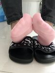 Anas socks Photos