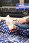 Anas socks Photos
