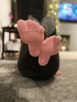Anas socks Photos