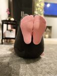 Anas socks Photos
