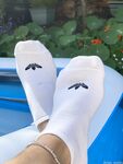 Anas socks Photos