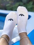 Anas socks Photos