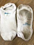 Anas socks Photos