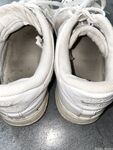 Anas socks Photos