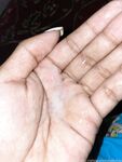 aummyladyboy Photos