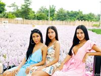aummyladyboy Photos