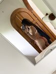 fitbryceadams Photos