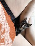 fityoginina Photos