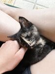 fityoginina Photos