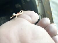 goddessolestx Photos