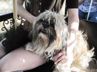 u42854353 Photos
