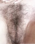 veronicarosexo Photos
