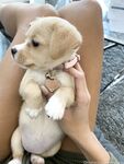 vinaskyy Photos