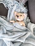 vinaskyy Photos