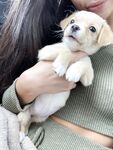 vinaskyy Photos