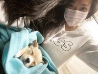 vinaskyy Photos