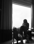 zorilee Photos
