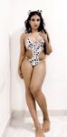 zorilee Photos