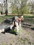 ashleyrider Photos
