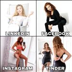 melrosemichaels Photos