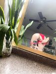 femme-god Photos