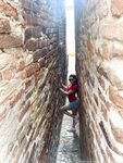 gaiapadrona Photos