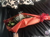 gaiapadrona Photos