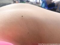 gaiapadrona Photos