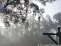 goddesszoey Photos