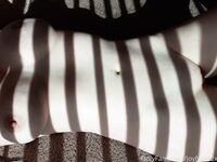 joyful782x Photos