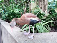 leanalovings Photos