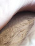 mistressjxx Photos