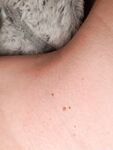 mistressjxx Photos