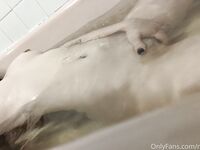nyxii Photos