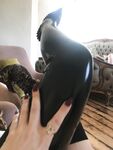 surrendersubmit Photos