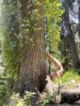 touchedbynature Photos