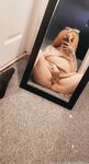 welshbarbiedolly Photos