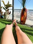 worshipnova Photos
