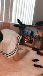 aliceivy Photos