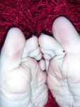 angieefeet Photos