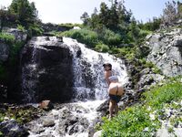 brandibraids Photos