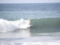 chelseawaves Photos