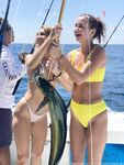 chelseawaves Photos