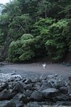 chelseawaves Photos