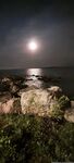 fredrix Photos