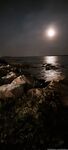 fredrix Photos