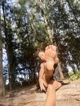 goddessnutty2 Photos
