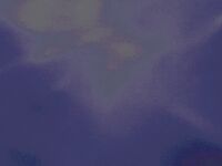 livecleo Photos