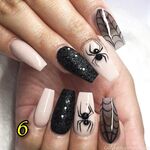 livecleo Photos