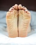 mrfootographer Photos